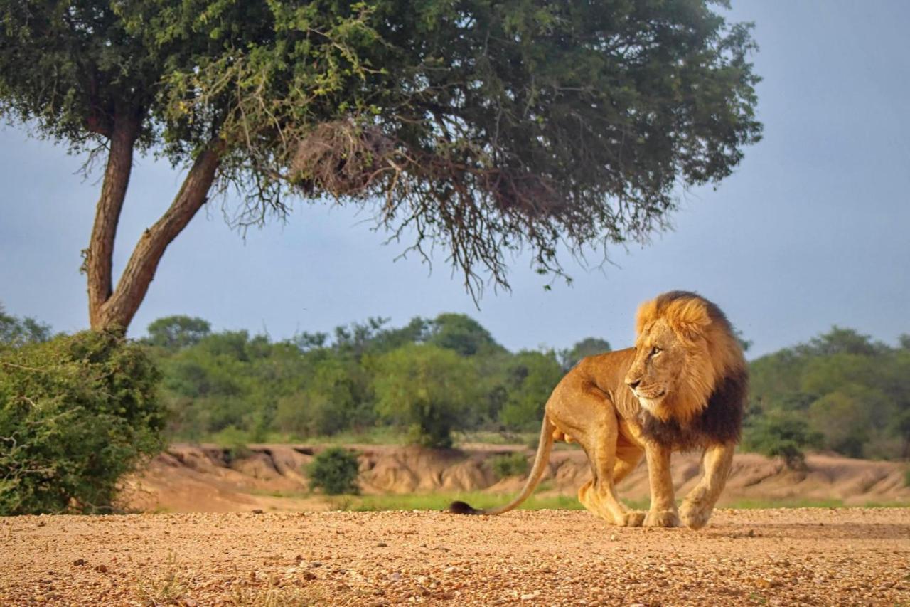 Kapama Karula * Kapama Game Reserve