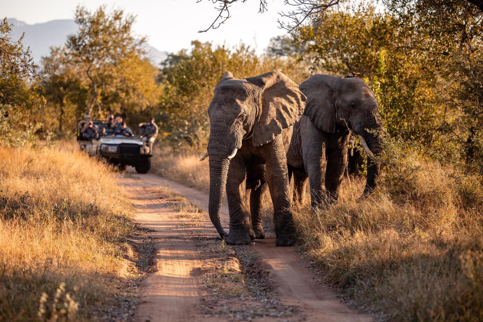 Kapama Karula * Kapama Game Reserve